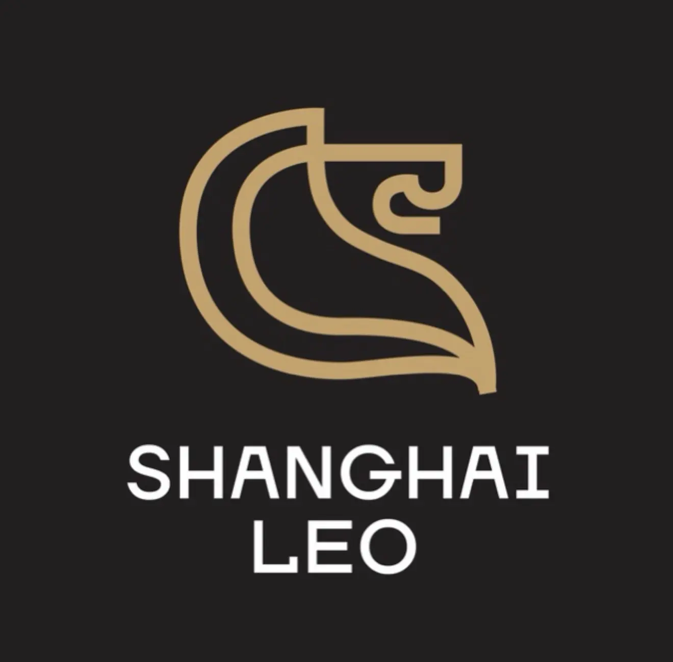 Китай 🇨🇳 | Бизнес | ВЭД | SHANGHAI LEO | Максим Савельев