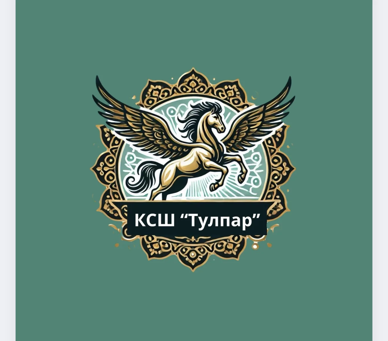 Конноспортивная школа Тулпар имени Р.С Хамадеева