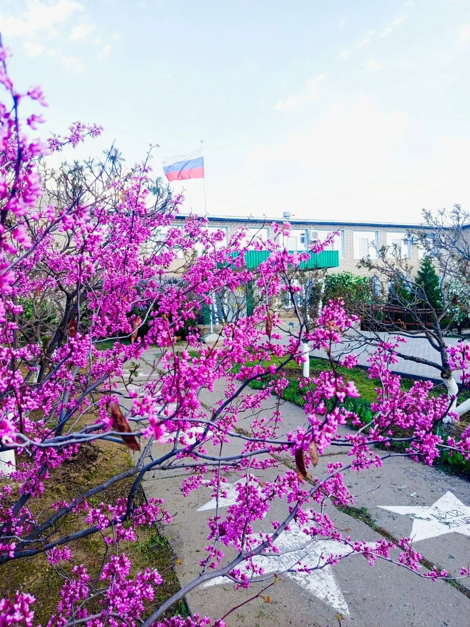 ГРАЧЕВСКАЯ СШ