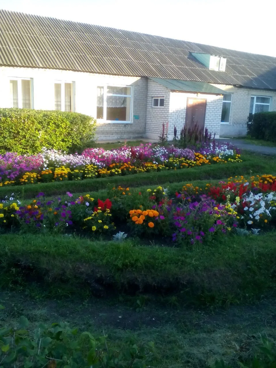 Основная школа с. Лебяжье Измалковского округа Липецкой области