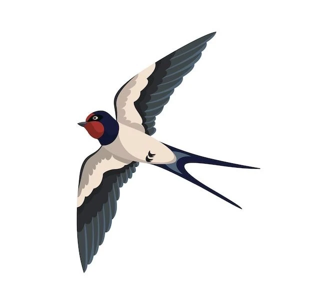 МДОУ детский сад 5 «Ласточка» г.Лермонтов