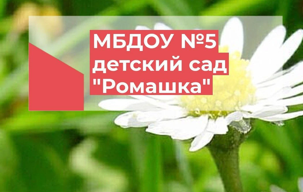 МБДОУ №5 детский сад "Ромашка" села Шедок