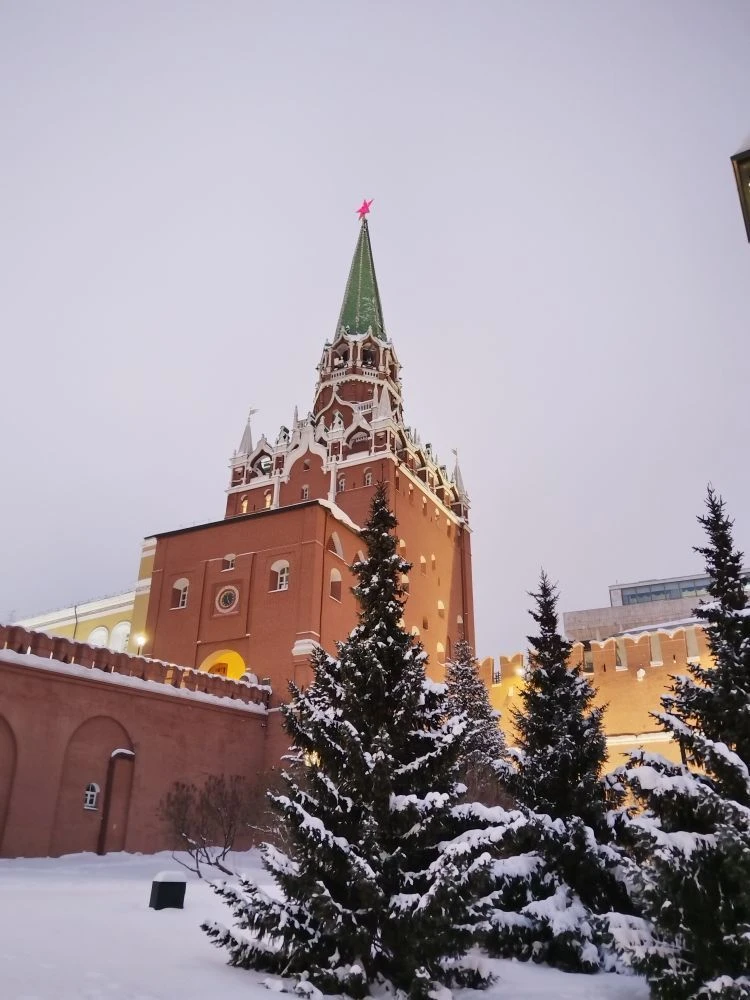 Кафедра иностранных языков ВШУ