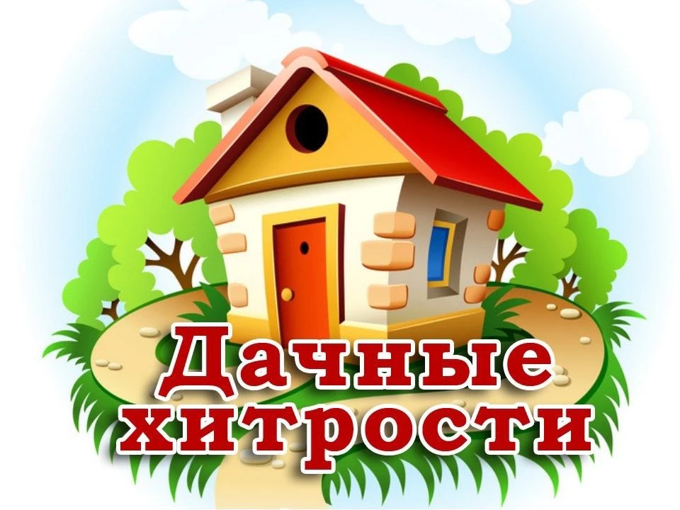 Дачные хитрости. Полезные советы — канал в мессенджере MAX
