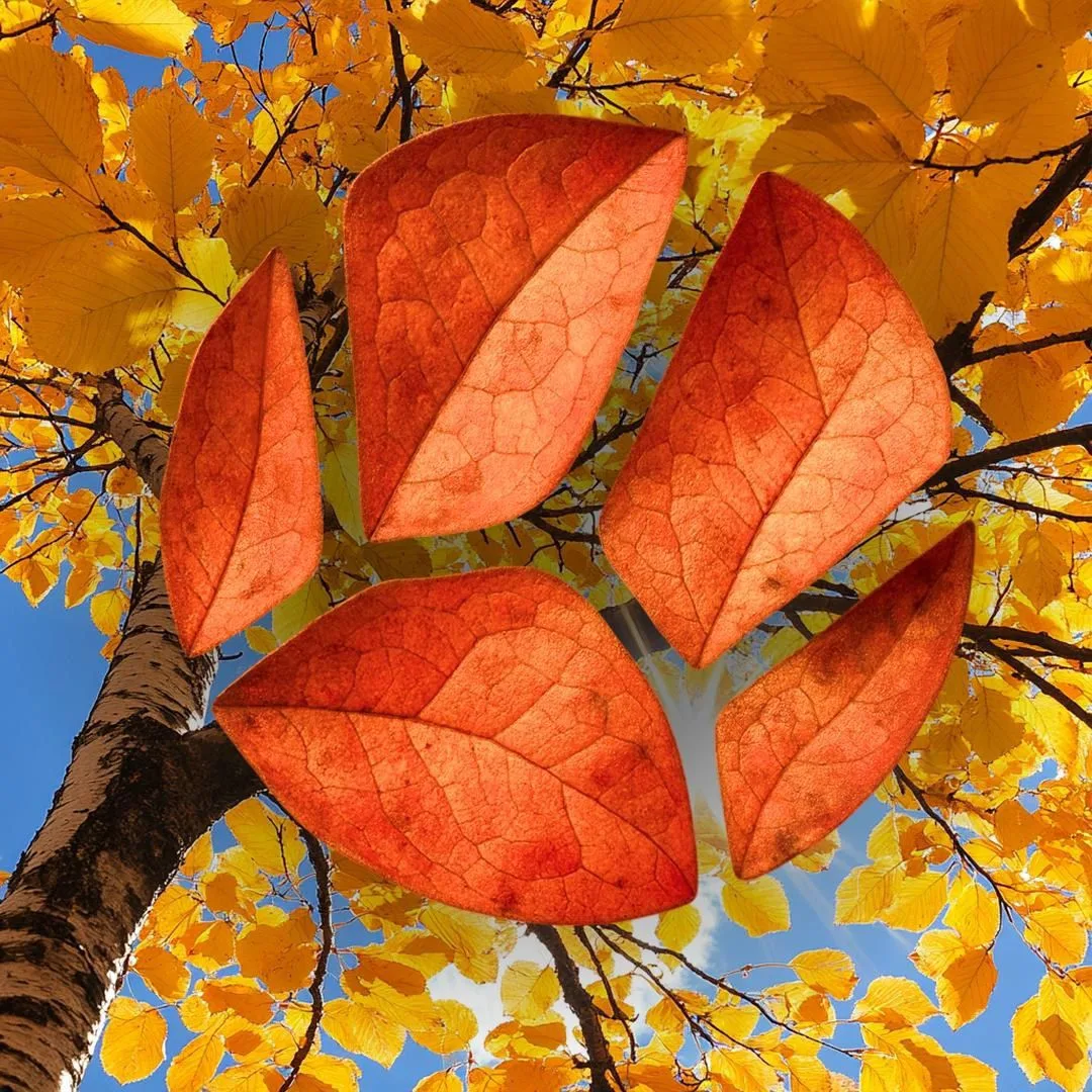 Живая Планета