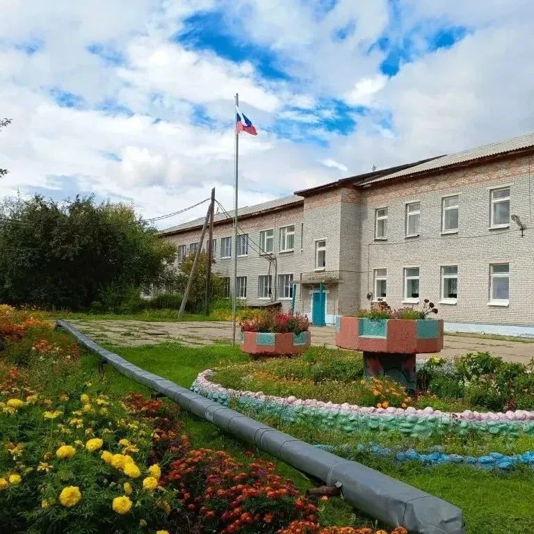 МОУ Владимировская СОШ