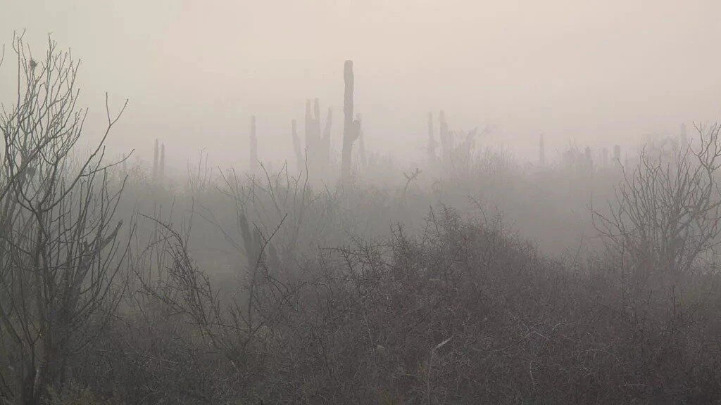 Хороший Vыбор Z