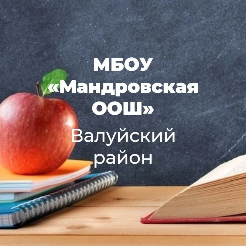 МБОУ "Мандровская ООШ"