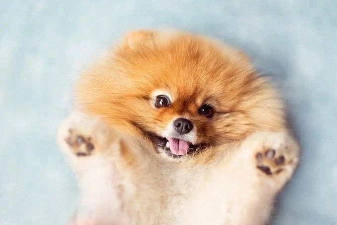 Логотип канала