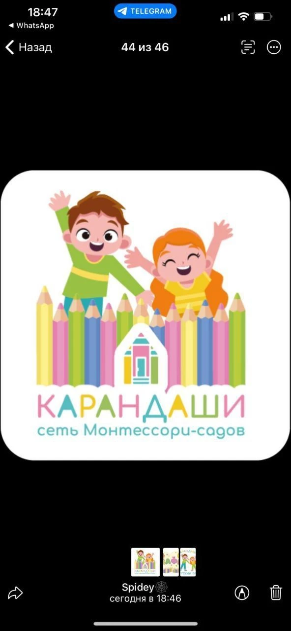 Сеть частных садиков Карандаши