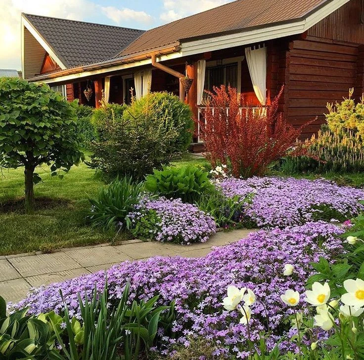 Ландшафтный дизайн.Идеи для сада.