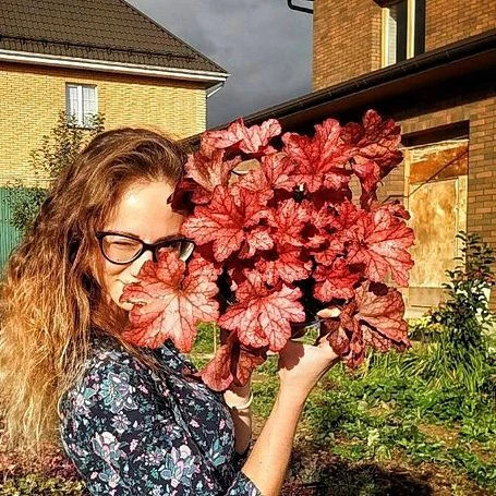 В_мечтах_о_саде, гейхеры