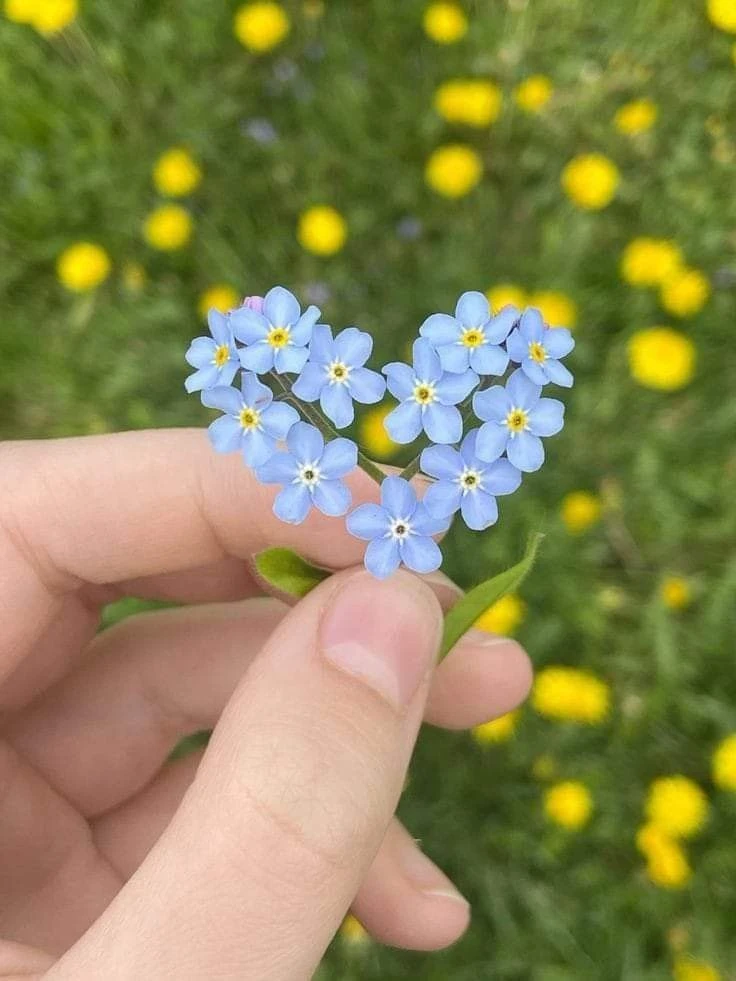 Психология LIVE