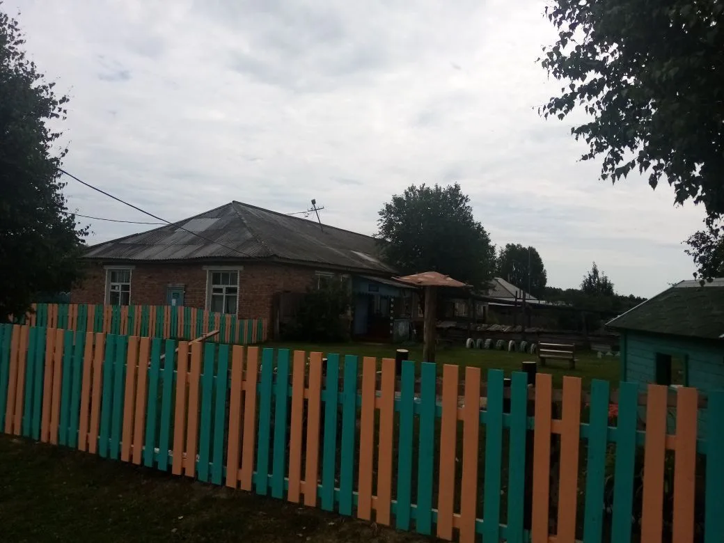 БОУ "Гриневическая НШДС"