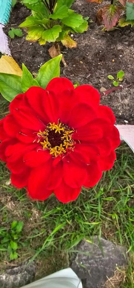 Логотип канала