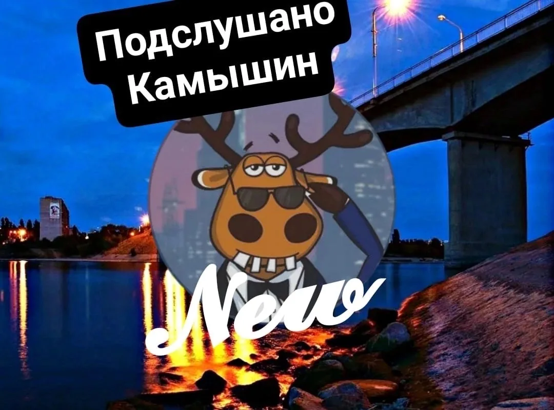 Подслушано Камышин — канал в мессенджере MAX