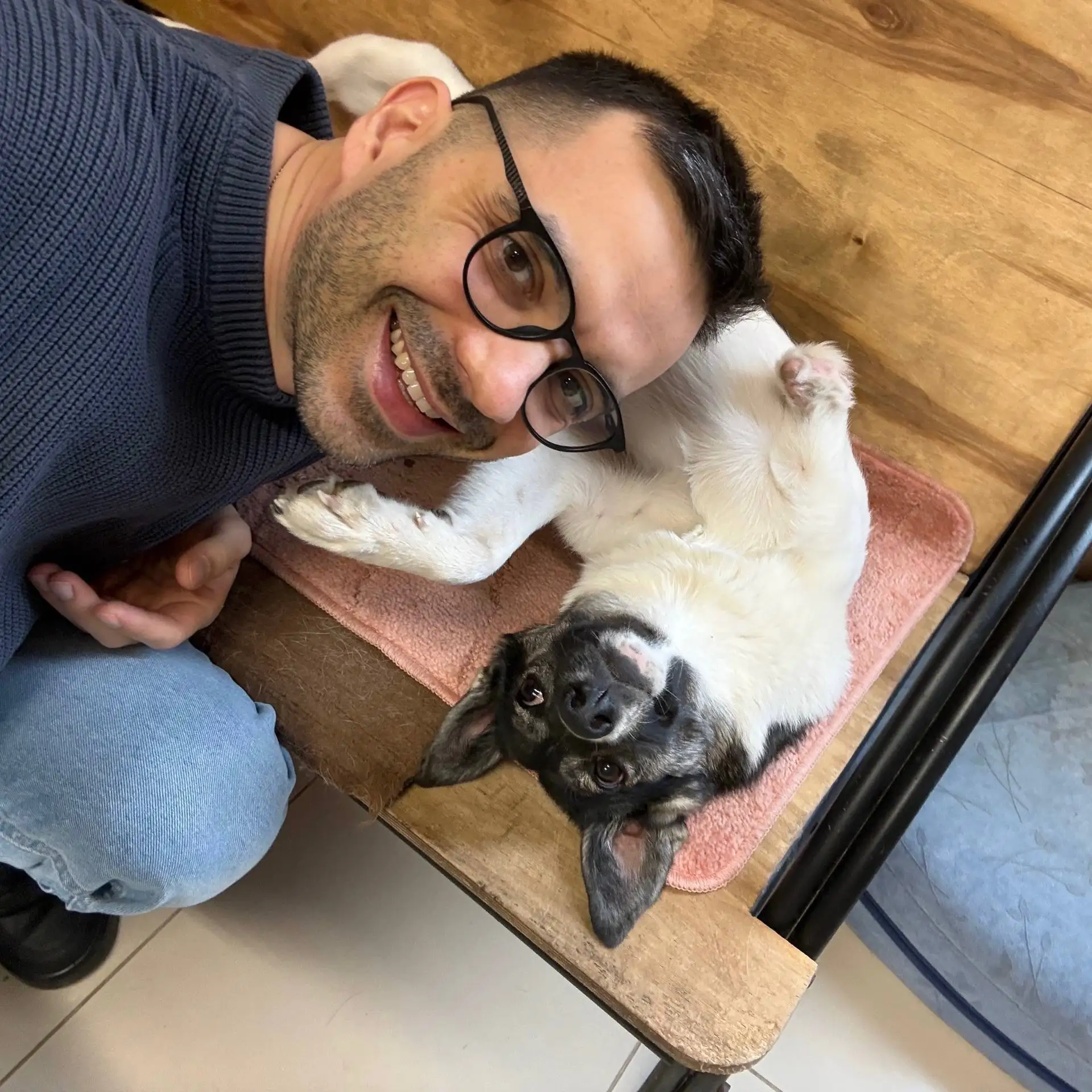 SobakaFun🐶 — канал в мессенджере MAX