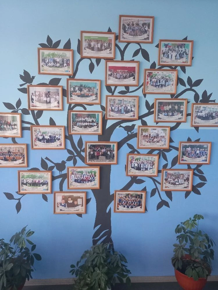 МБОУ Боградская СОШ