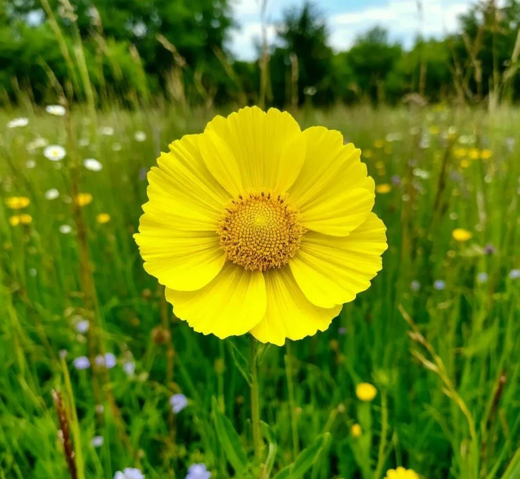 Труд Май Вологда