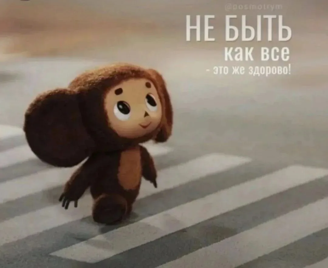 Новости "Чебурашки"