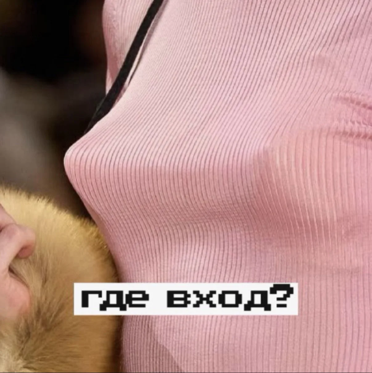 Вход с Хохрякова — канал в мессенджере MAX