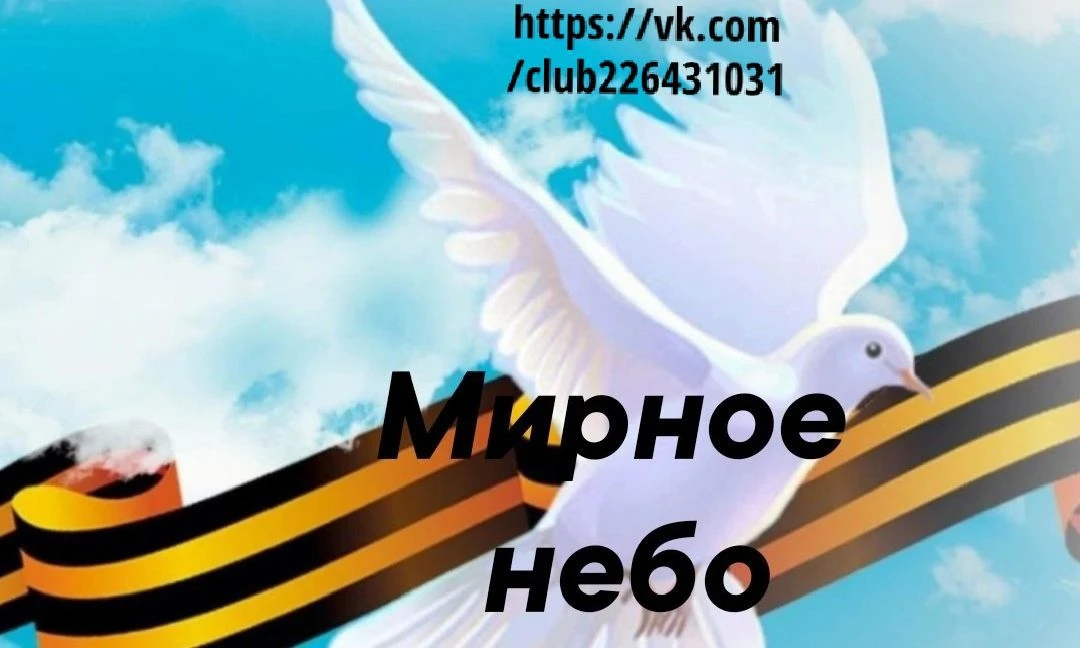 Мирное небо Кострома — канал в мессенджере MAX