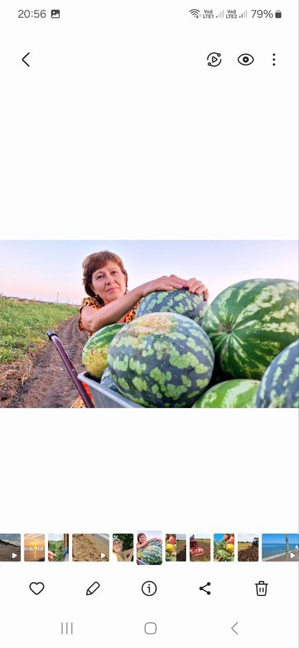 ЖИЗНЬ НА ЮГЕ