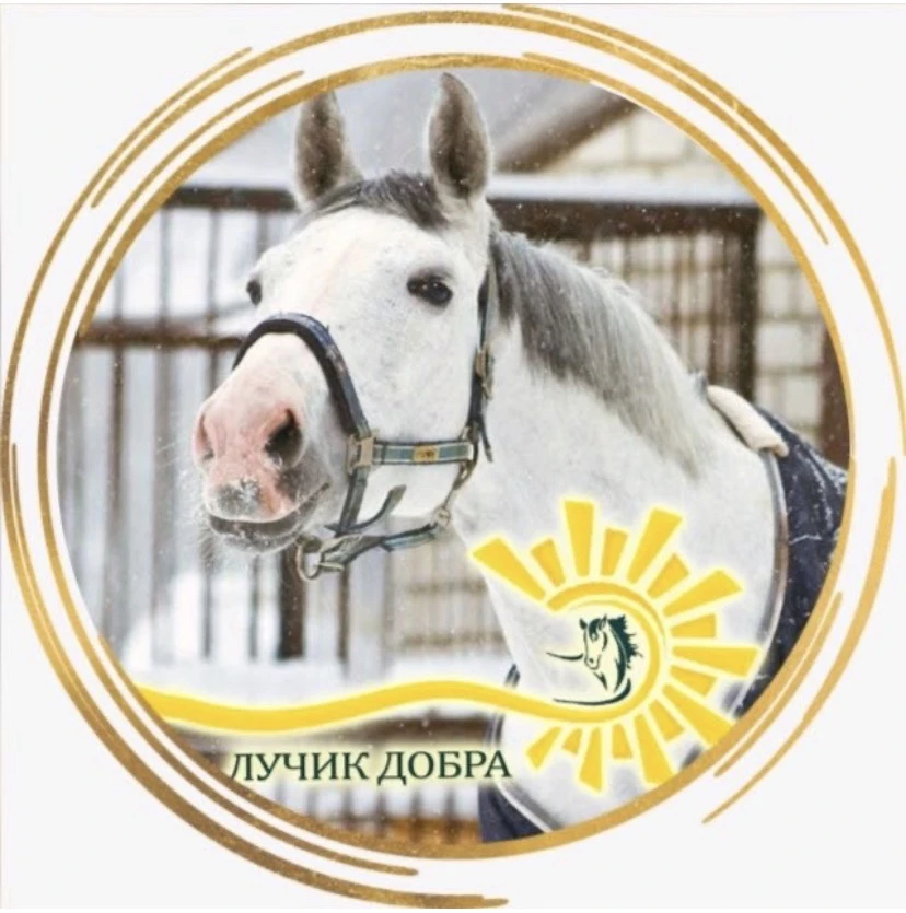«Лучик Добра» детский конно-досуговый центр