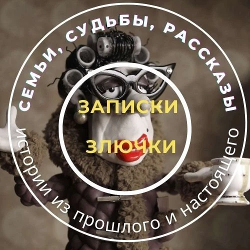 Записки злючки — канал в мессенджере MAX
