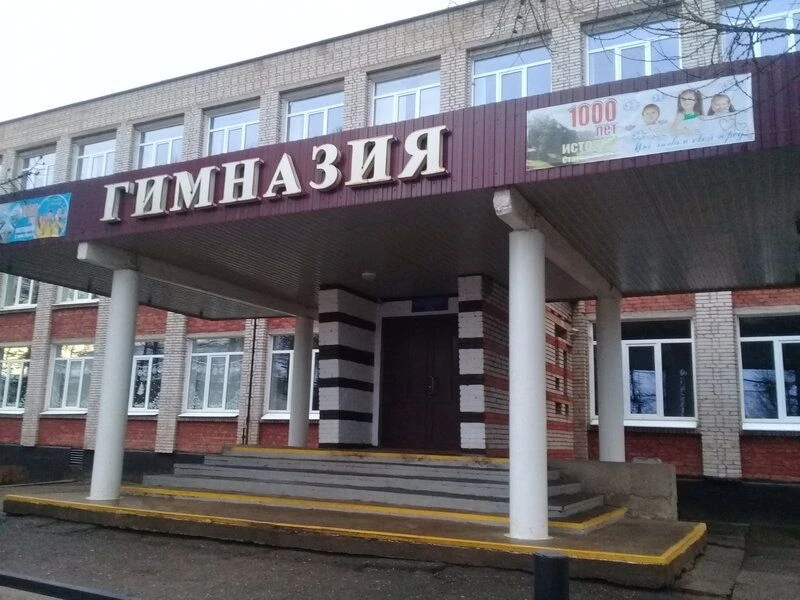 Гимназия г. Старая Русса — канал в мессенджере MAX