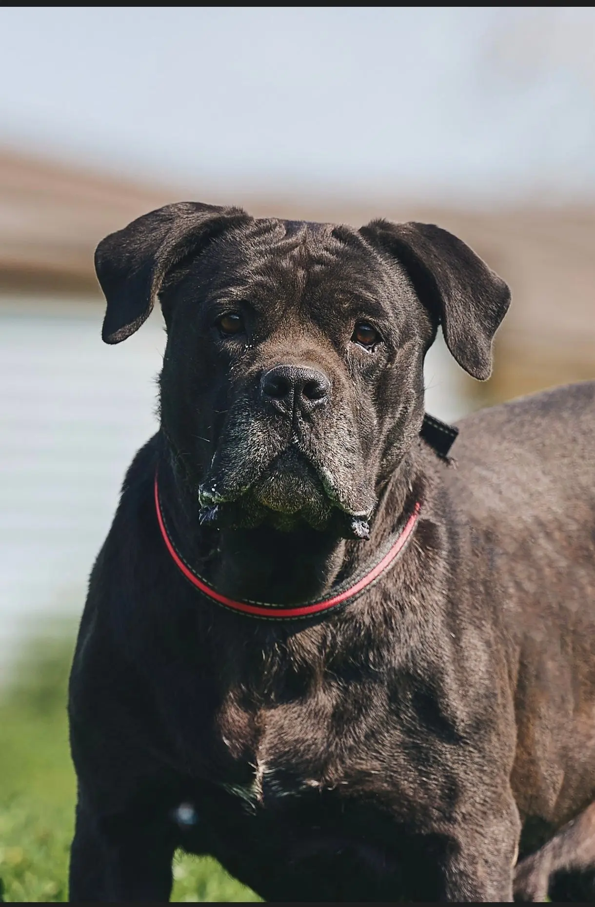 Логотип канала