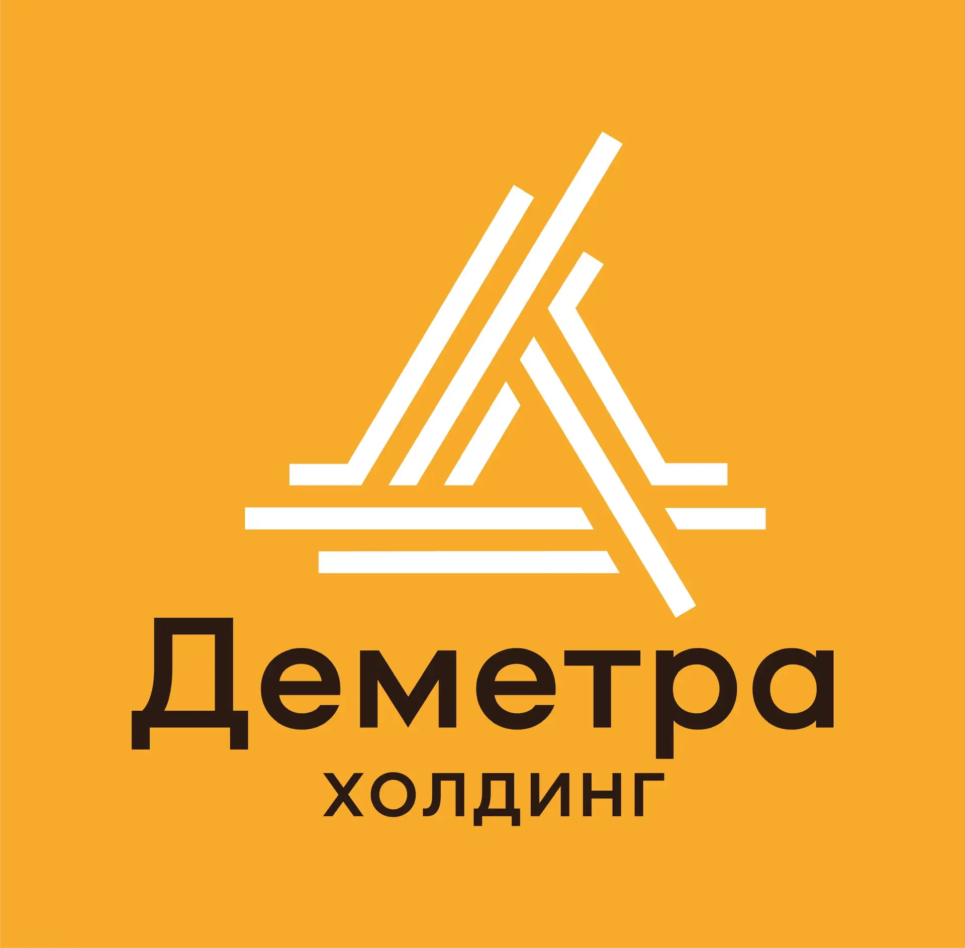 Группа Деметра-Холдинг — канал в мессенджере MAX