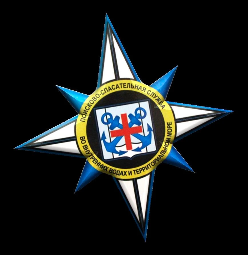 ГКУ РО "ПСС ВВ ТМ"