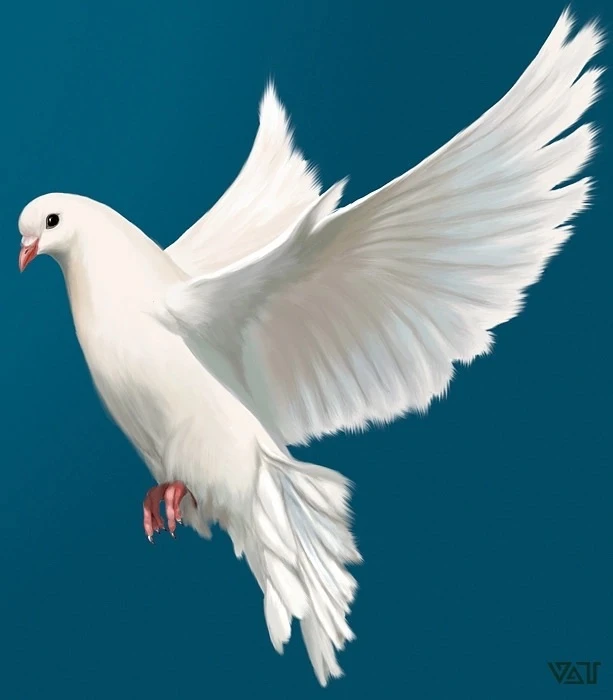 МАДОУ детский сад "Голубок"