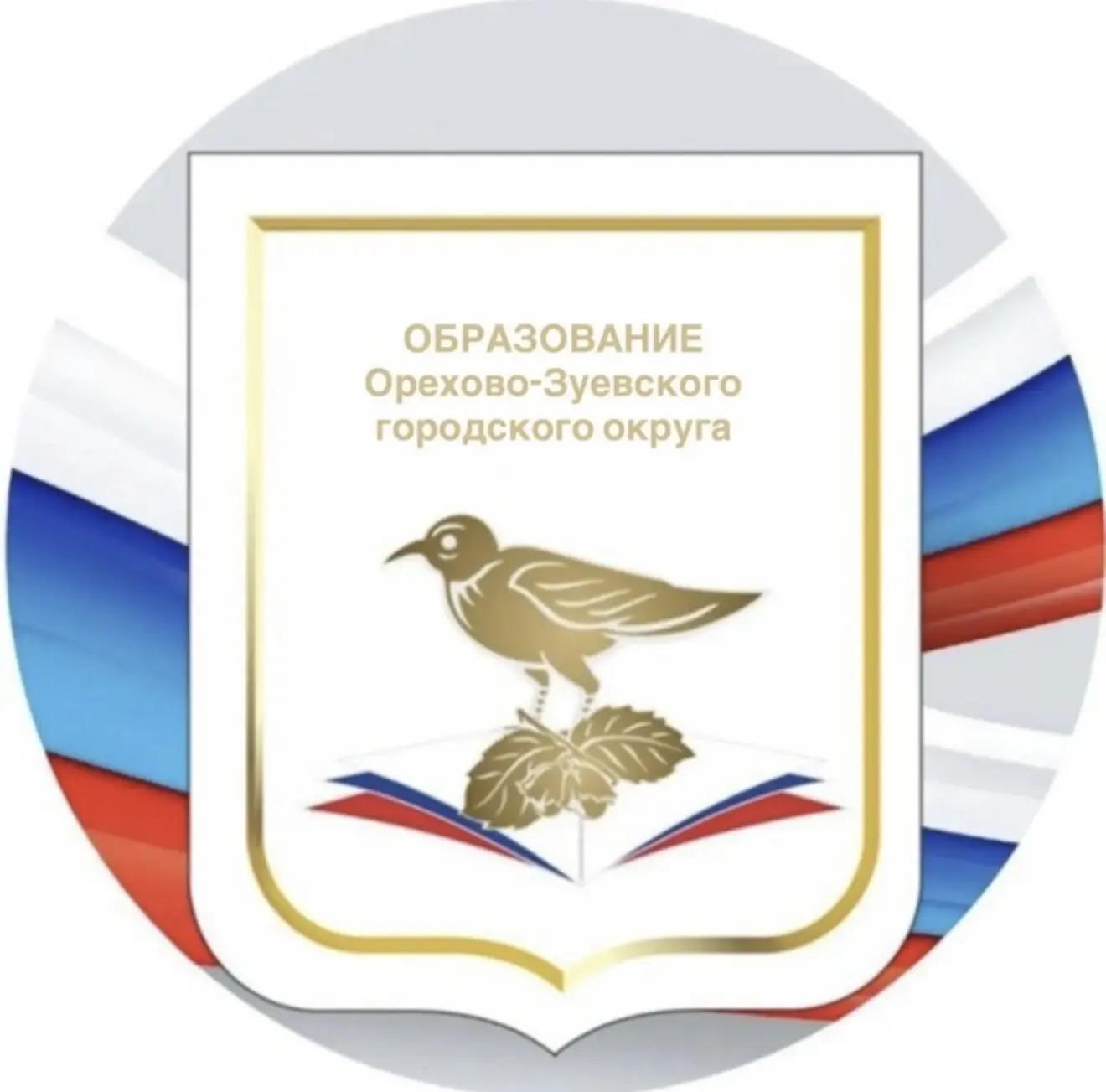 Образование Орехово-Зуевского округа — канал в мессенджере MAX