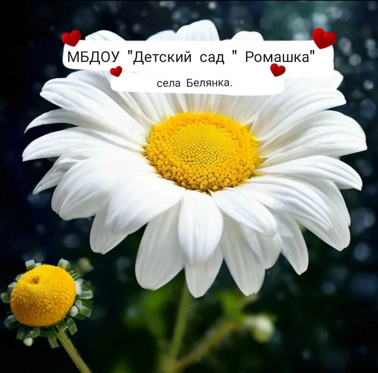 Детский сад с.Белянка