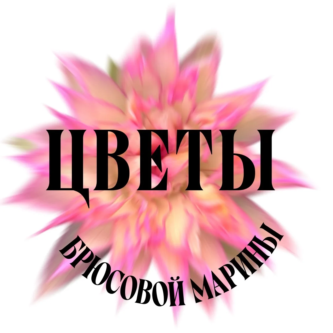 Цветы от Марины Брюсовой — канал в мессенджере MAX