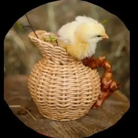 Мои уютные вещи