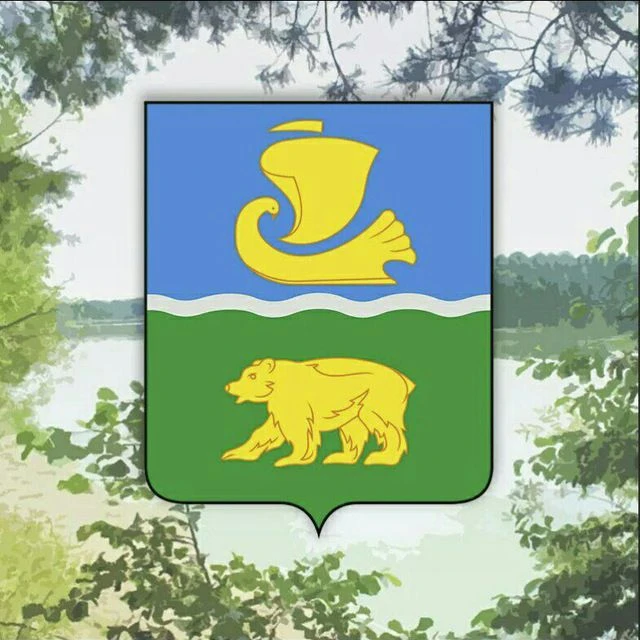 Совет депутатов муниципального округа Сокольский Нижегородской области