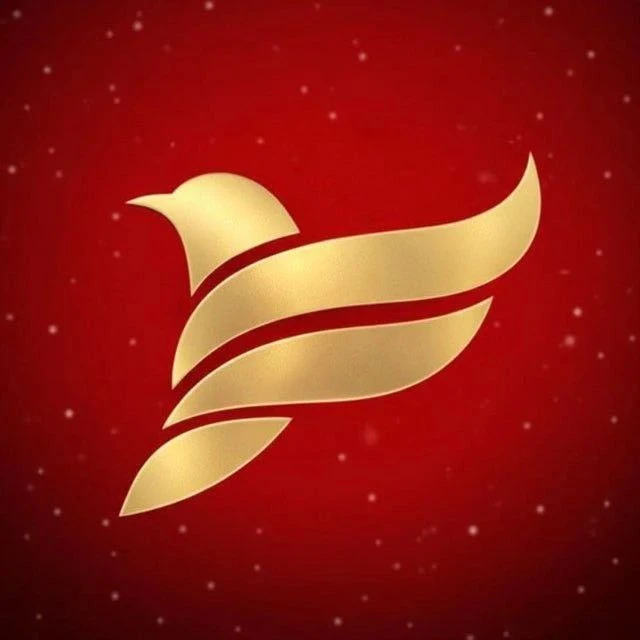 FLEXPOCKET: новости