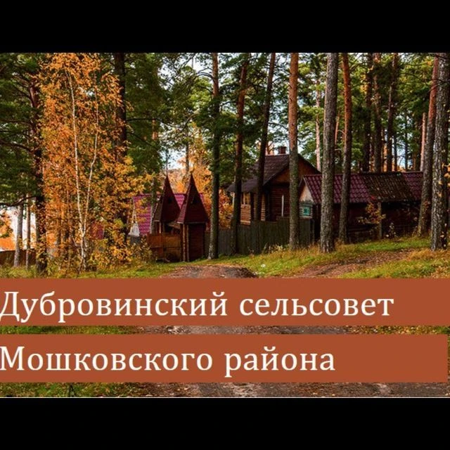 Администрация Дубровинского сельсовета Мошковского района — канал в мессенджере MAX