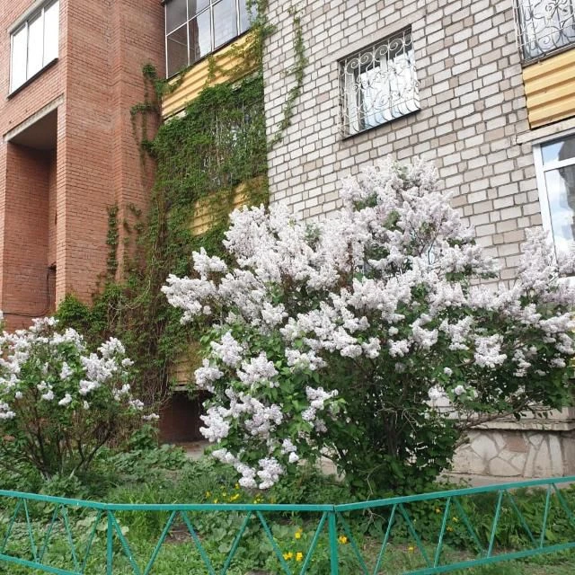 ТСЖ ЗЕНИТ - инфо канал