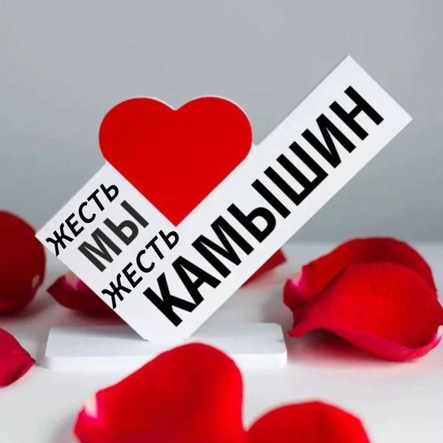Жесть. Камышин — канал в мессенджере MAX