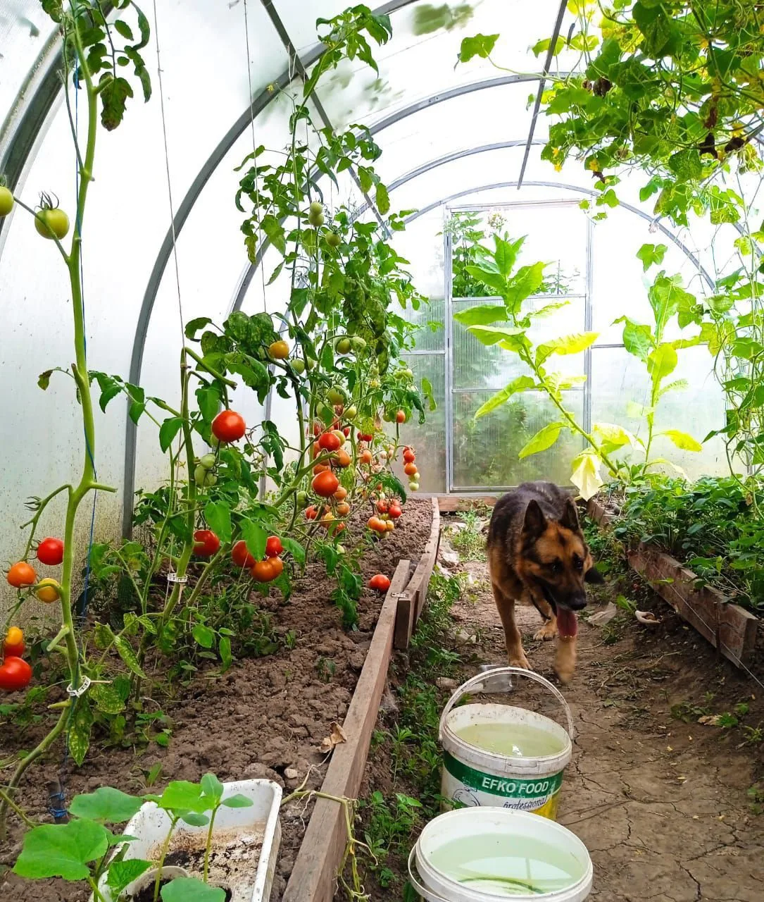 Логотип канала