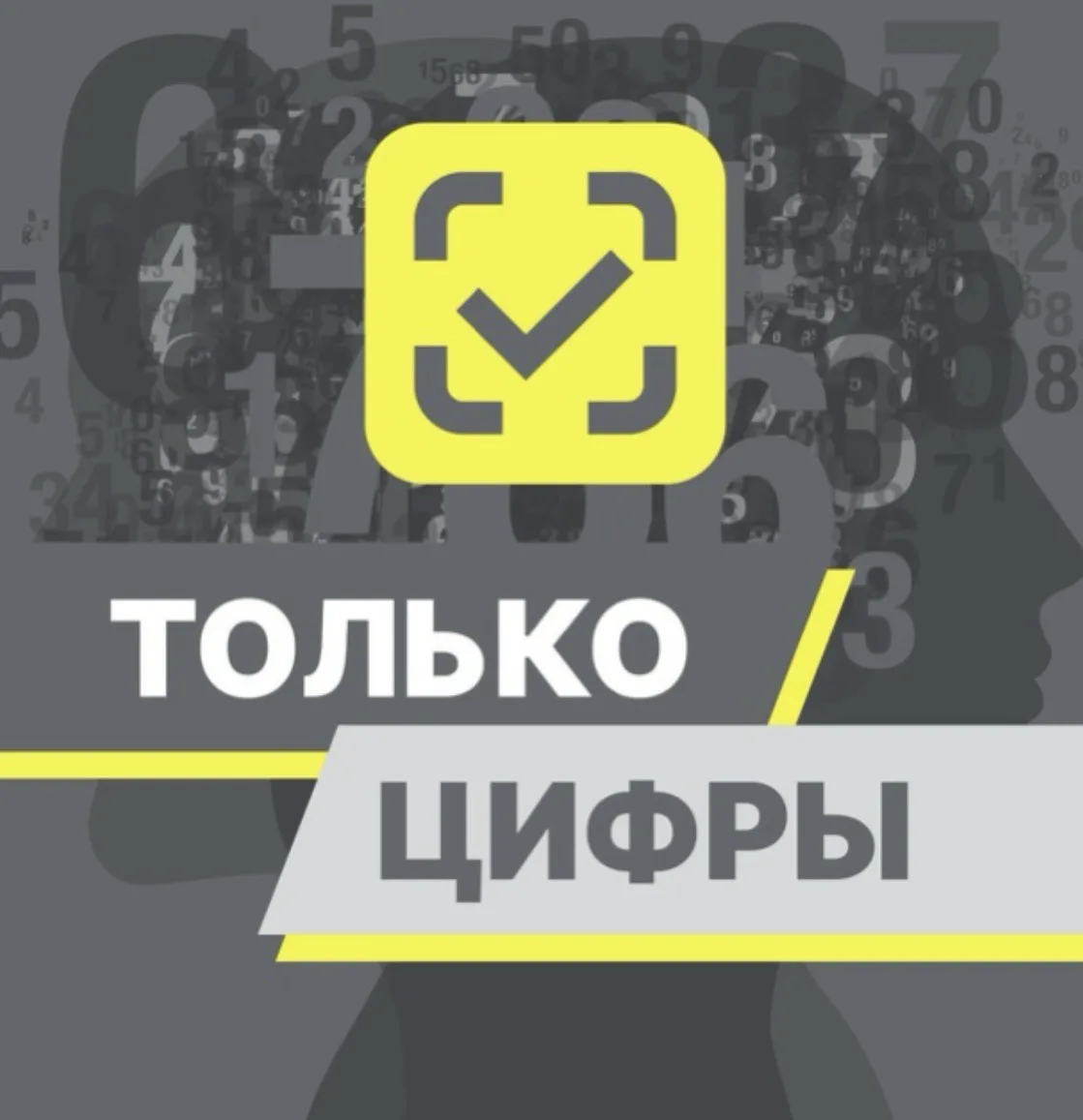 Только цифры | Аналитика «Честного знака» — канал в мессенджере MAX