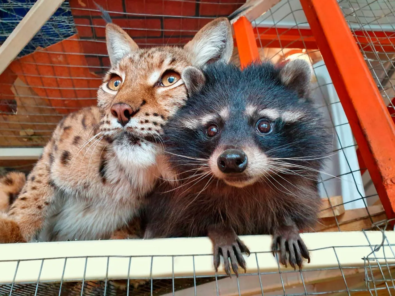 Логотип канала