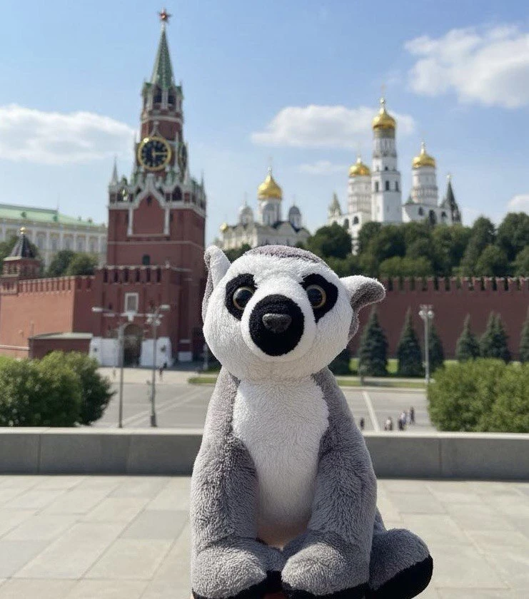 По Москве с лемуром Лимоном — канал в мессенджере MAX