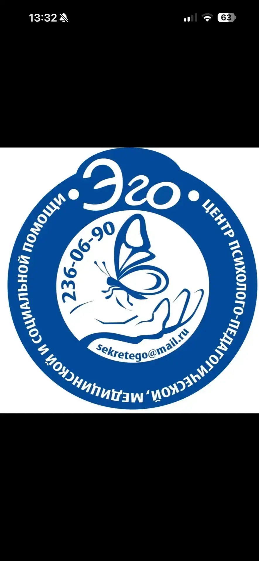 МАУ ЦППМиСП "Эго"