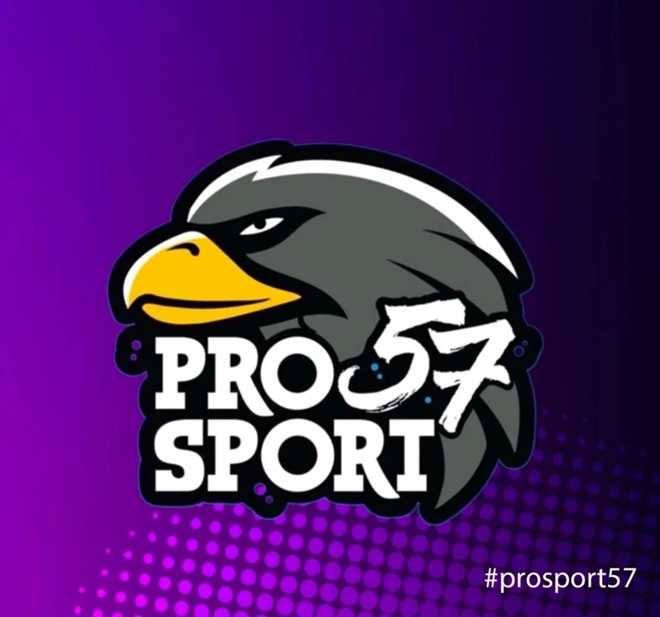 ProSport57 — канал в мессенджере MAX