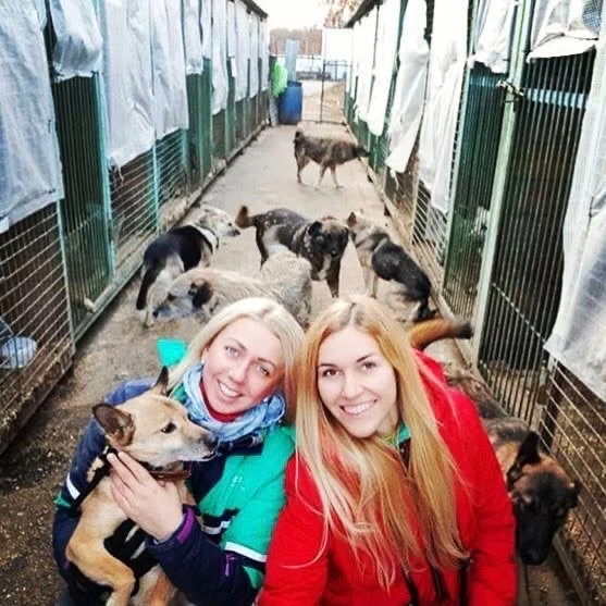 Приют Некрасовка 10 сектор